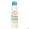 Roge Cavailles Deodorant Spray Dermato 48u 150ml
