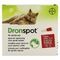 Dronspot 96mg/24mg Spot-on Kat Groot >5-8kg Pip 2
