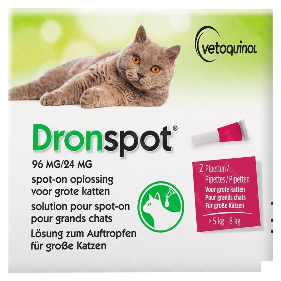 Dronspot 96mg/24mg Spot-on Kat Groot >5-8kg Pip 2