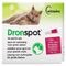 Dronspot 96mg/24mg Spot-on Kat Groot >5-8kg Pip 2