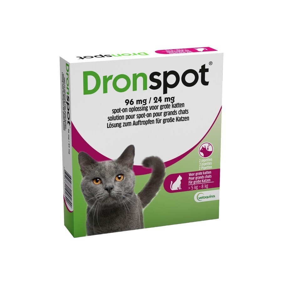 Dronspot 96mg/24mg Spot-on Kat Groot >5-8kg Pip 2