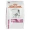 Royal Canin Veterinary Diet Renal Nierfunctie Hondenvoer 2kg