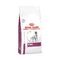 Royal Canin Veterinary Diet Renal Nierfunctie Hondenvoer 2kg