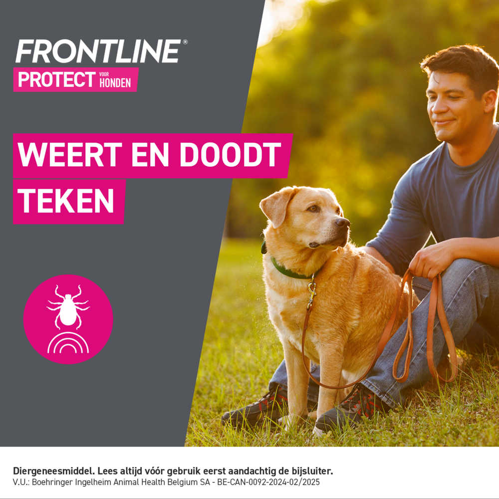 Frontline Protect Spot On Opl Hond 2-5kg Pipet 3