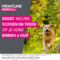 Frontline Protect Spot On Opl Hond 10-20kg Pipet 3