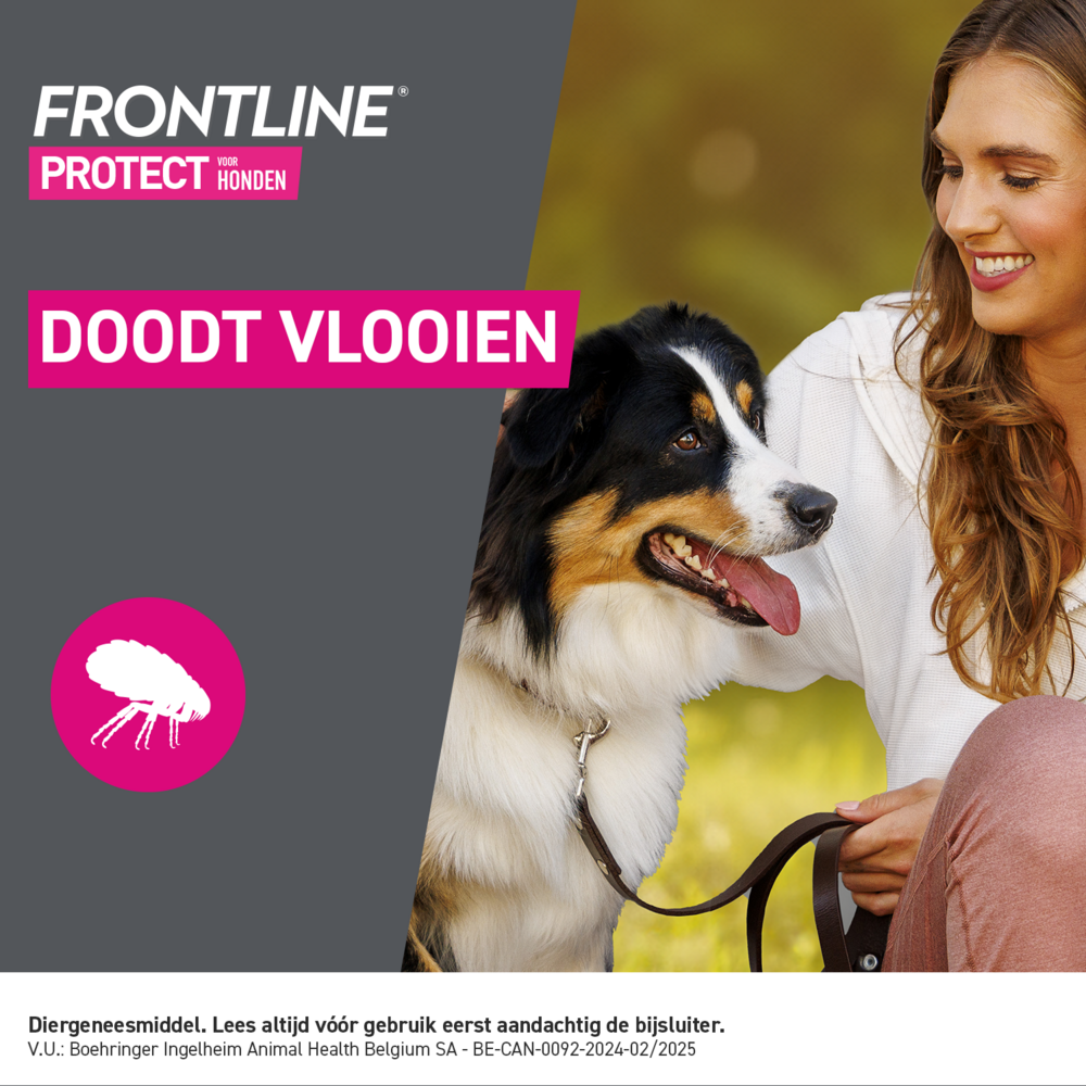 Frontline Protect Spot On Opl Hond 20-40kg Pipet 3