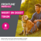Frontline Protect Spot On Opl Hond 20-40kg Pipet 3