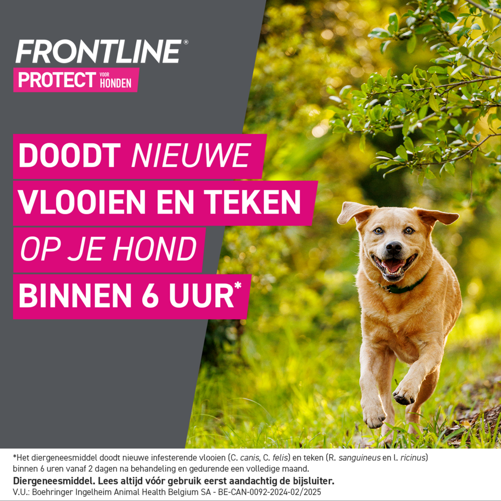 Frontline Protect Spot On Opl Hond 20-40kg Pipet 3