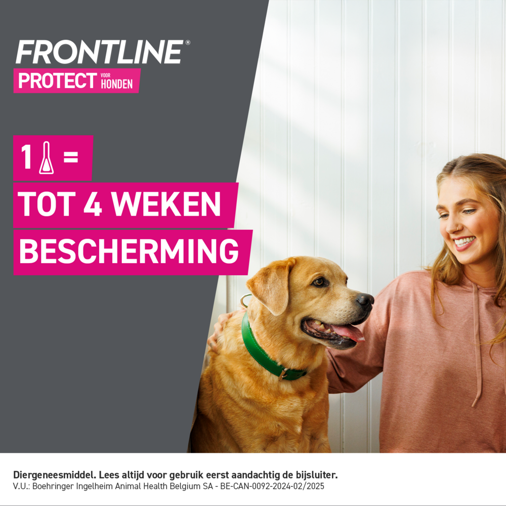 Frontline Protect Spot On Opl Hond 40-60kg Pipet 3