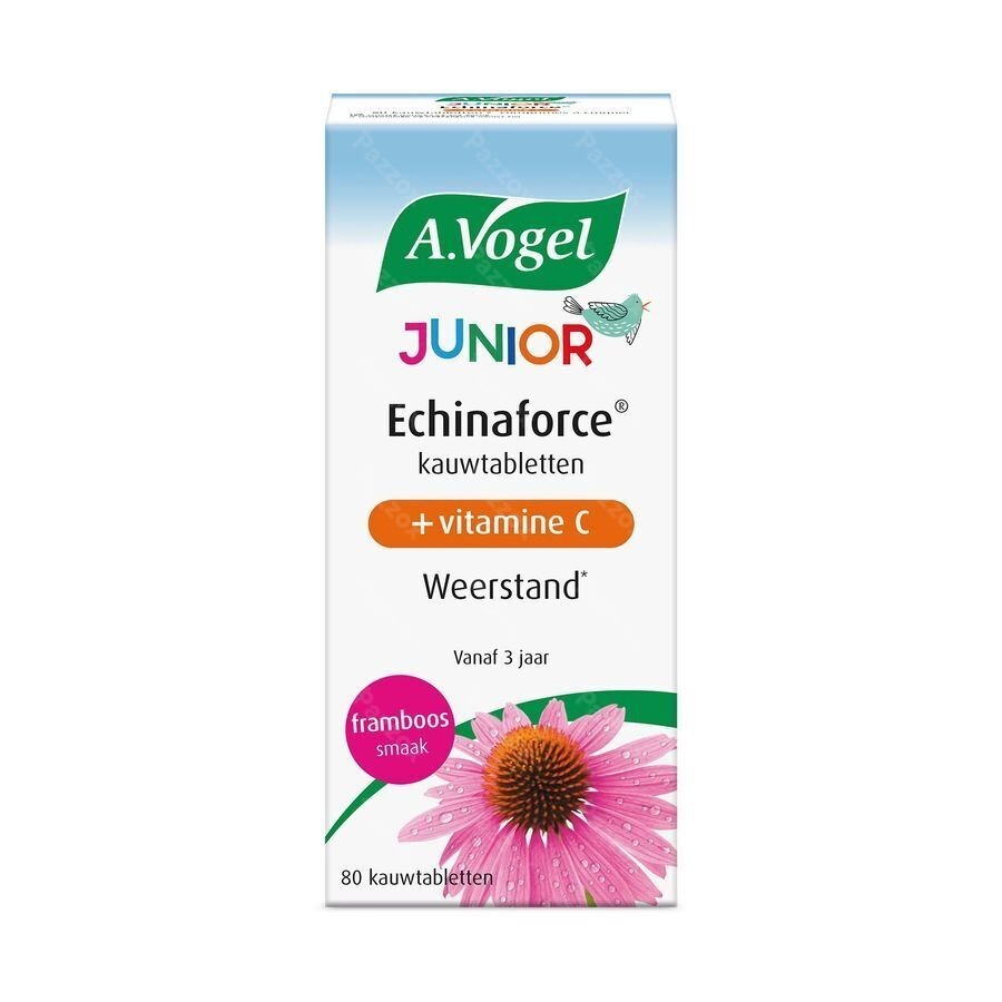 A.Vogel Echinaforce Junior + Vitamine C 80 Tabletten