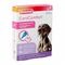 Beaphar Canicomfort Rustgevende Spot On 3x1ml