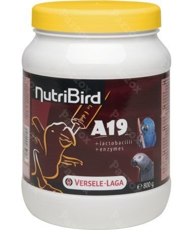 Nutribird A19 800g Handopfokvoer Voor Ara's + Grijze Roodstaart- en Edelpapegaaien