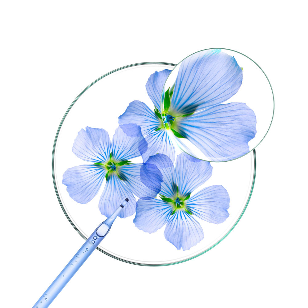 Klorane Capil. Condit. Lin 200ml