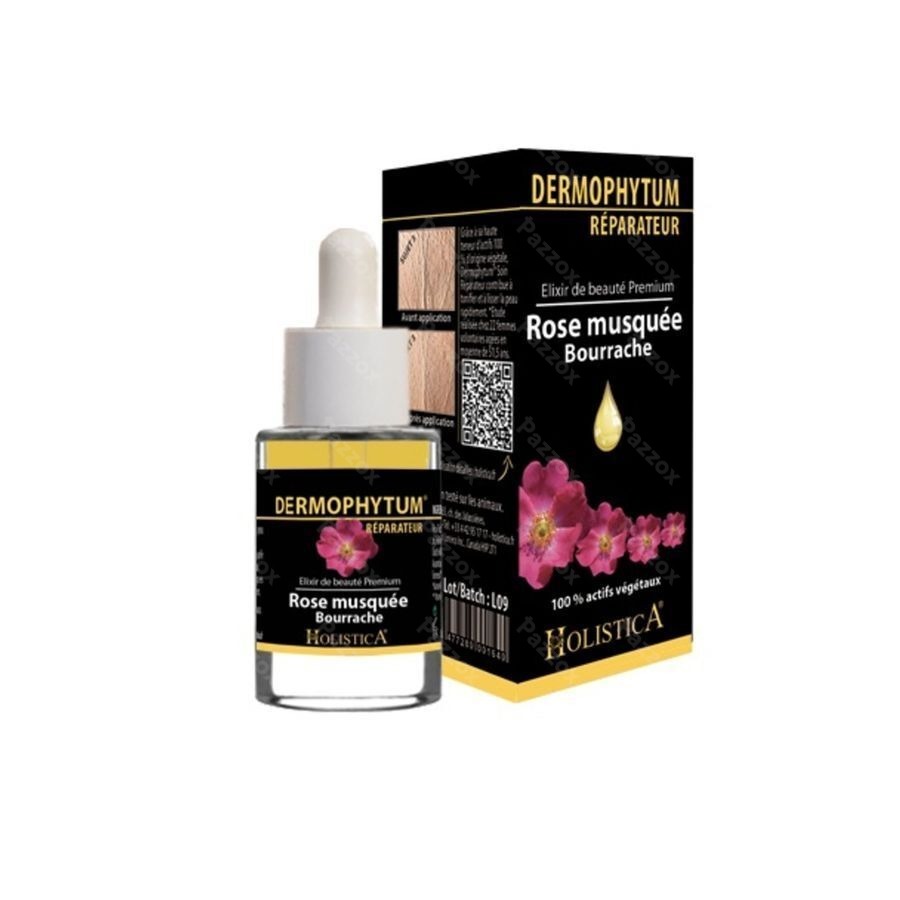 Dermophytum Herstellend Fl 15ml Holistica