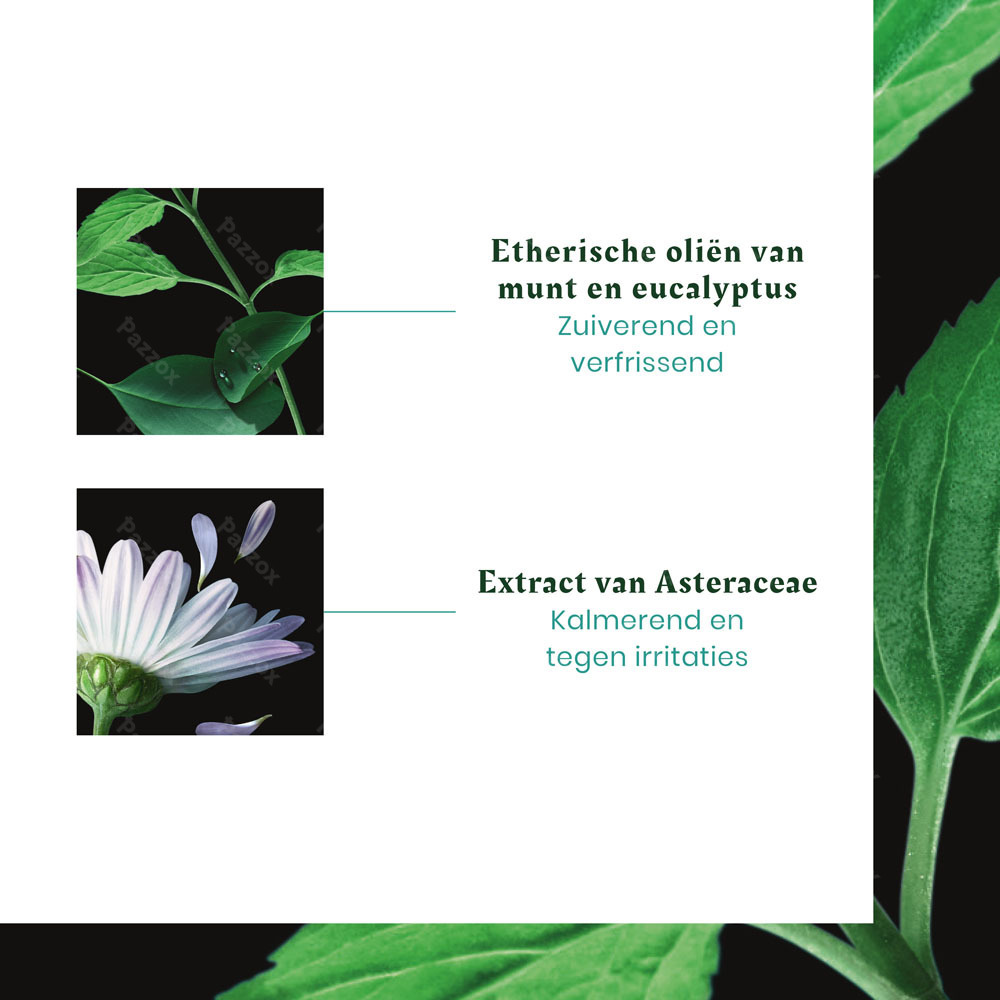 Furterer Astera Fresh Shampooing 200ml