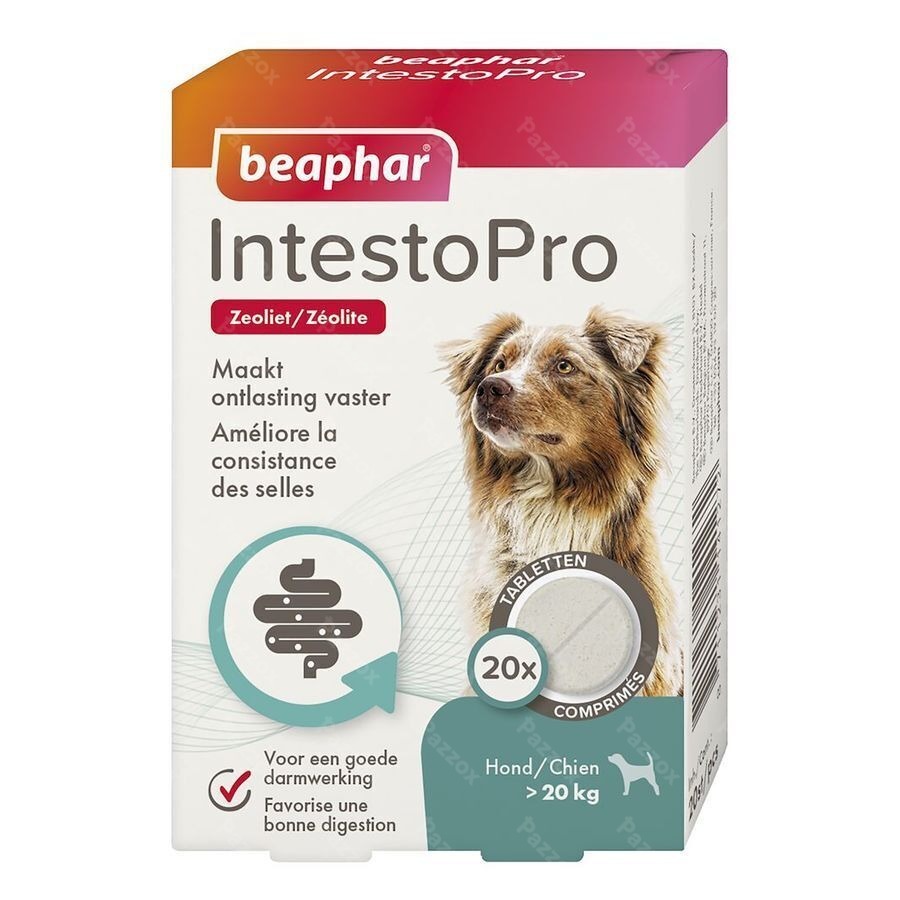 Beaphar Intesto Pro Hond M/l Tabl 20