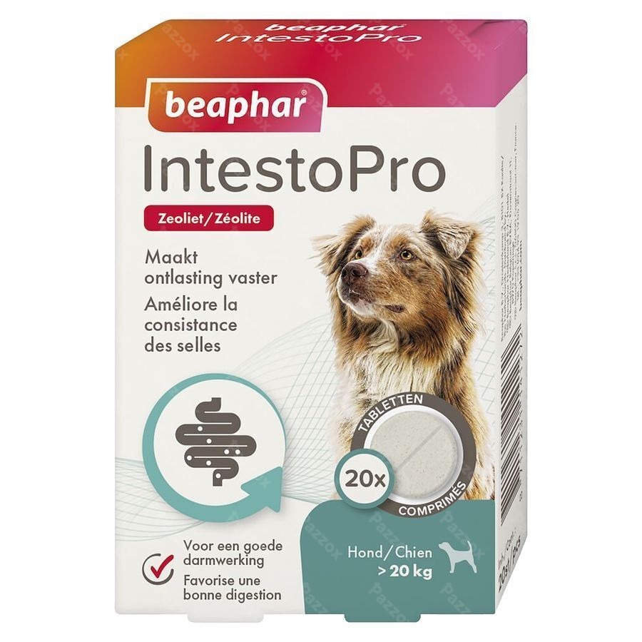 Beaphar Intesto Pro Hond M/l Tabl 20