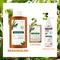 Klorane Galanga Anti Roos Shampoo 200ml