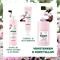 Klorane Gezicht Pioenroos Bio Masker Stick 25g