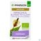 Arkocaps Ispaghul Psyllium Blond Bio 45 capsules
