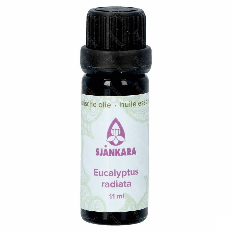 Sjankara Eucalyptus Radiata Ess. Olie Bio 11ml