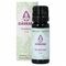 Sjankara Ravintsara Ess. Olie Bio 11ml