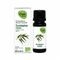 Oak Ess Olie Eucalyptus Radiata 10ml Bio