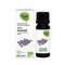 Oak Ess Olie Lavendel, Echte 10ml Bio
