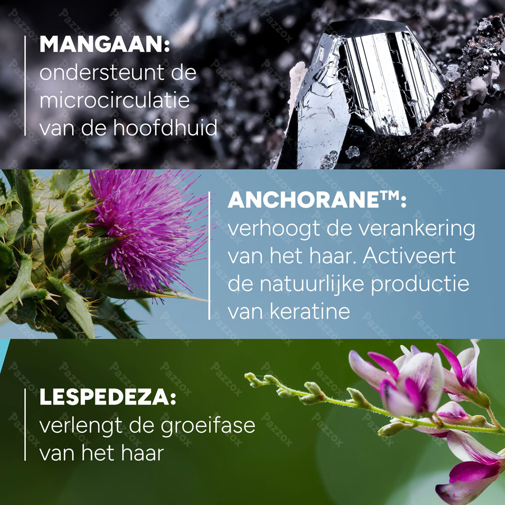 Ducray Neoptide Expert Serum Pro Haardens. 2x50ml