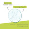 A-Derma Biology Ac Zuiverend Micellair Water 400ml