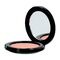 Les Couleurs De Noir Soft Touch Blush 02