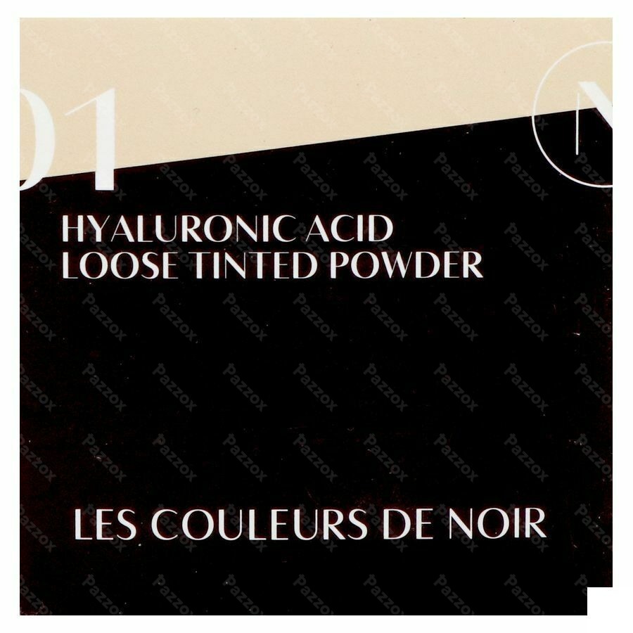 Les Couleurs De Noir Soft Loose Foundation Poeder 01
