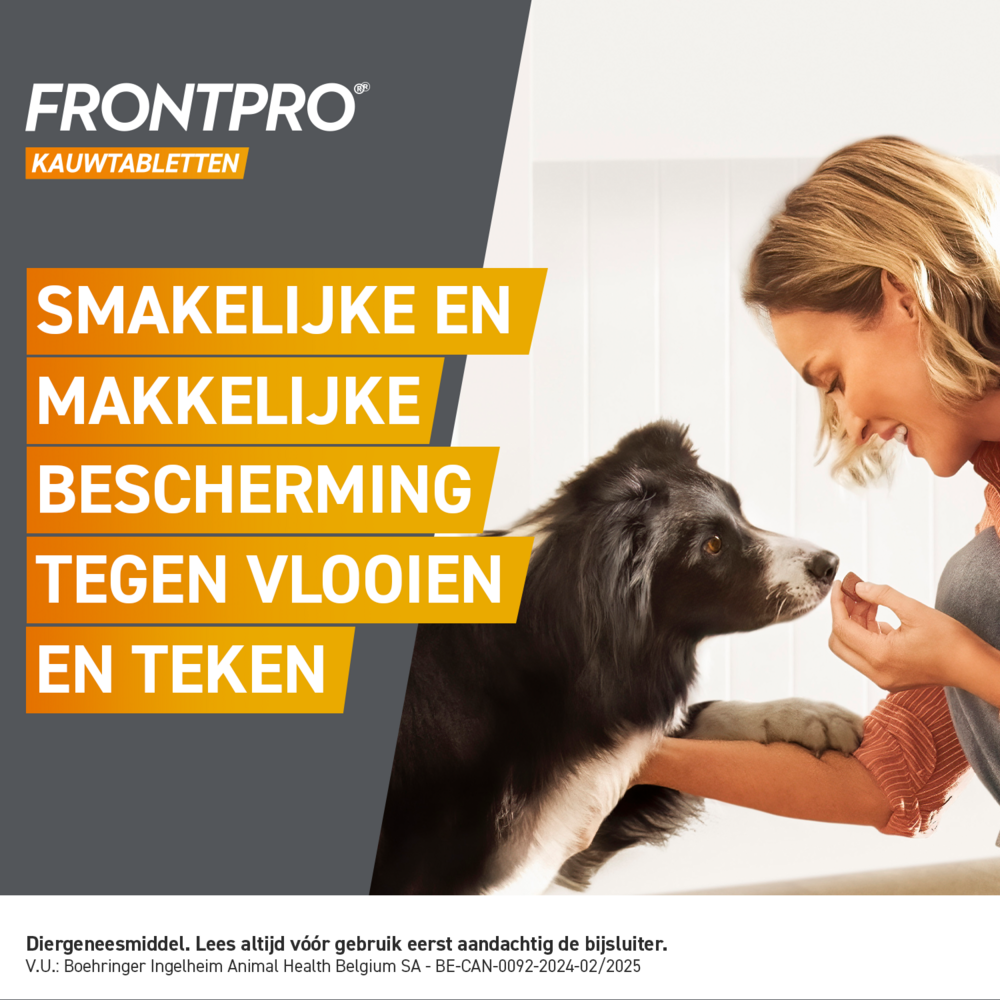 Frontpro 11mg Hond 2-4kg 3 Kauwtabletten