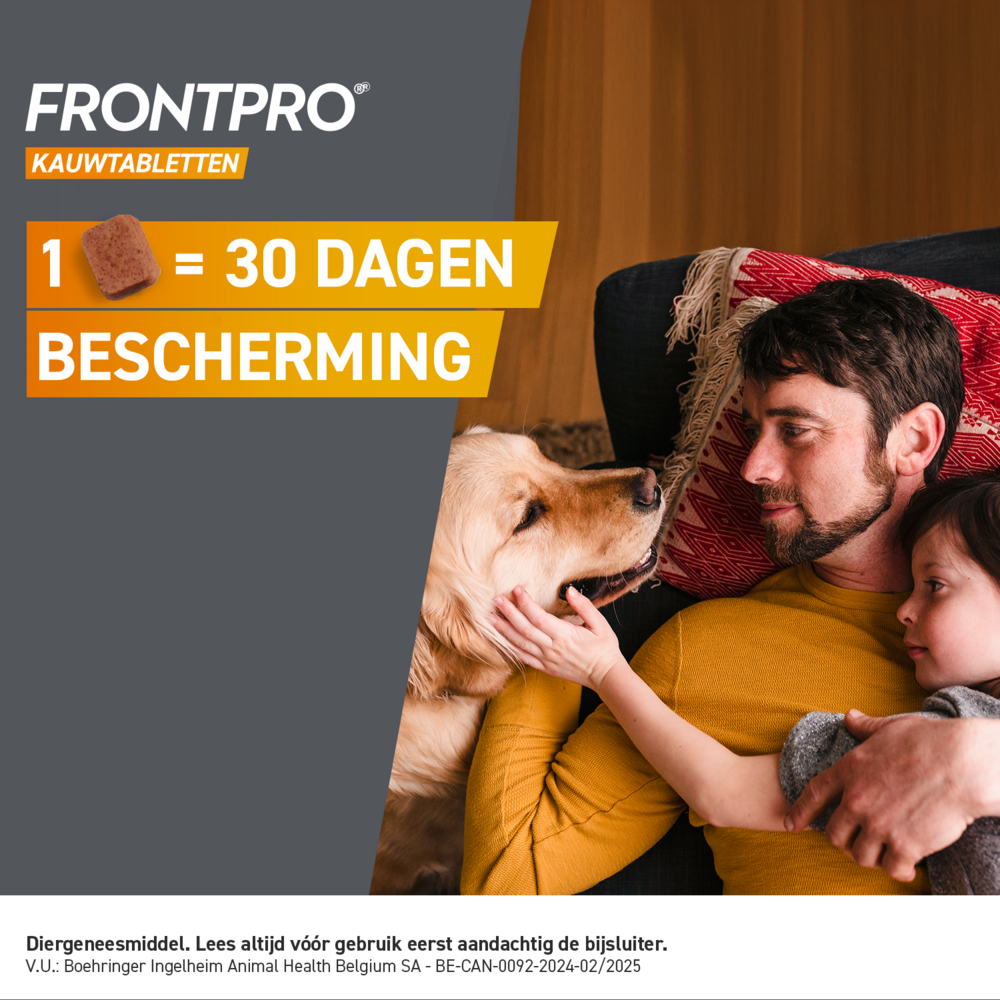Frontpro 11mg Hond 2-4kg 3 Kauwtabletten