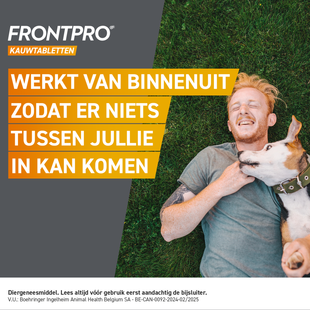 Frontpro 68mg Hond 10-25kg 3 Kauwtabletten