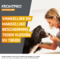 Frontpro 136mg Hond 25-50kg 3 Kauwtabletten