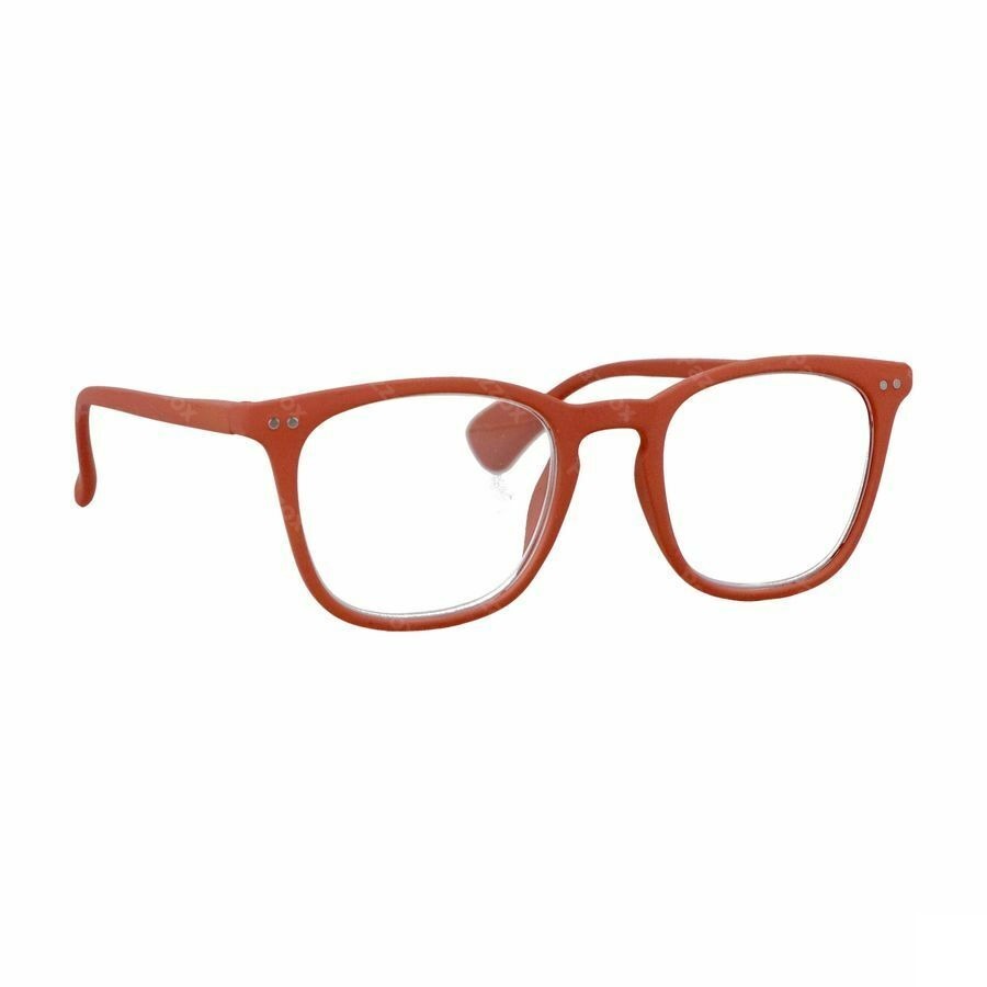 RenÉ(e) Bril Re-z03 Vintage Camper Red +2,5