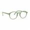 RenÉ(e) Bril Re-y05 Monstera Leaf Green +2
