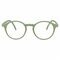 RenÉ(e) Bril Re-y05 Monstera Leaf Green +2