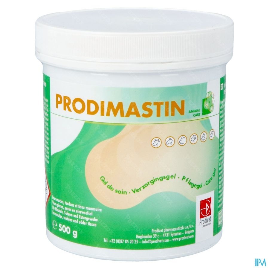 Prodimastin Verzorgingsgel 500g Nf
