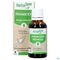 Herbalgem Frambozenstruik Bio 30ml