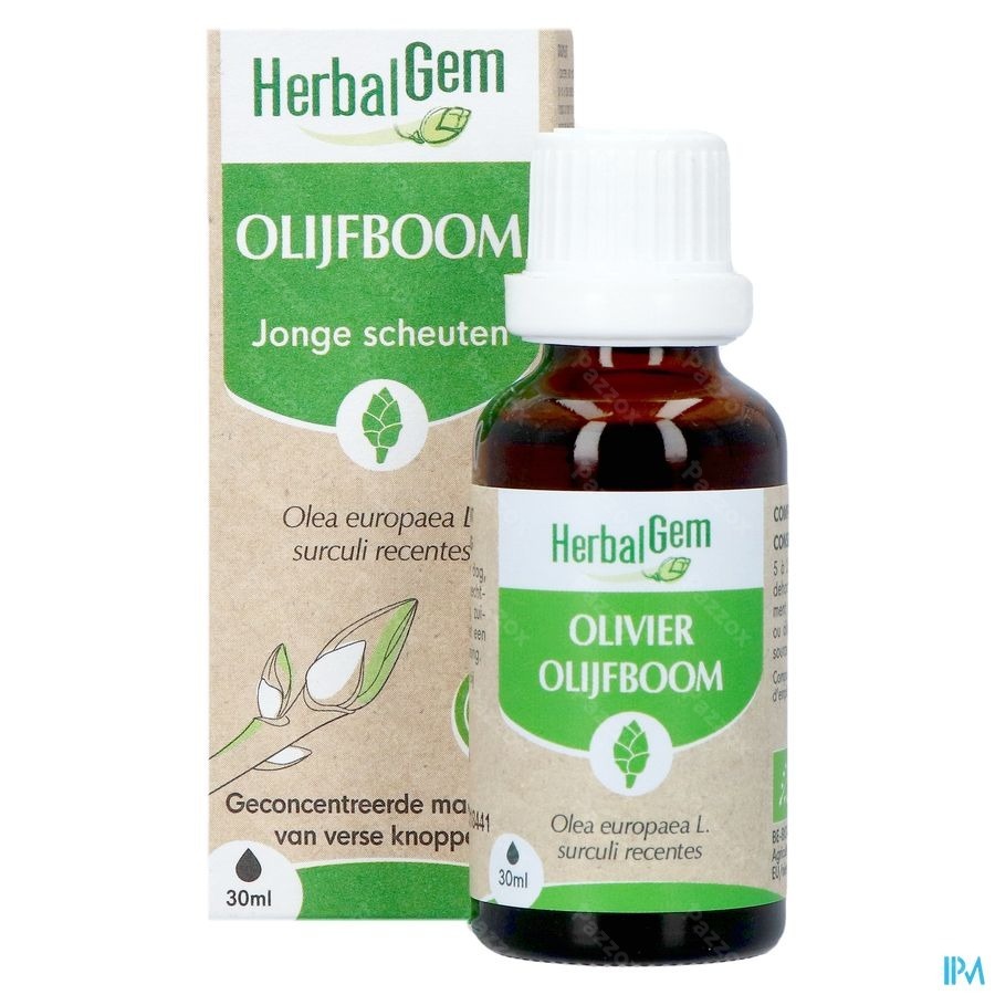Herbalgem Olijfboom Bio 30ml