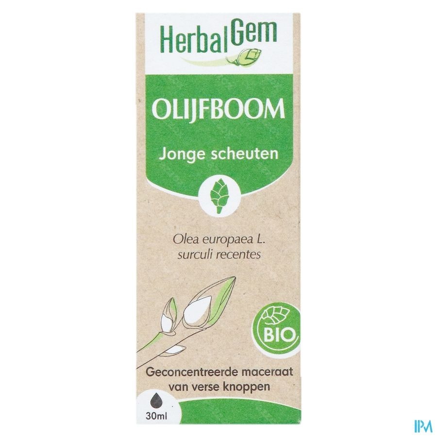 Herbalgem Olijfboom Bio 30ml