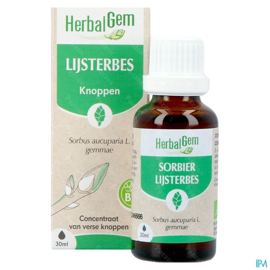 Herbalgem Lijsterbes Bio 30ml