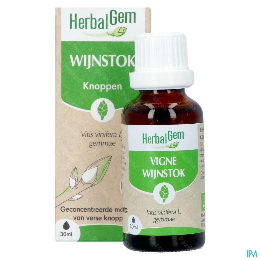 Herbalgem Wijnstok Maceraat Bio 30ml