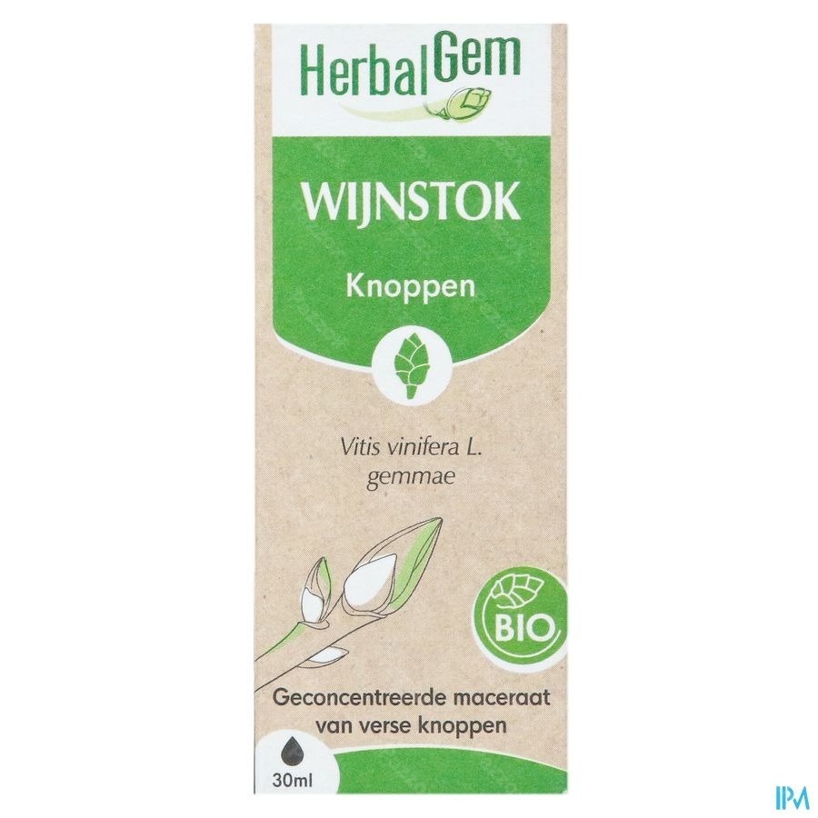 Herbalgem Wijnstok Maceraat Bio 30ml