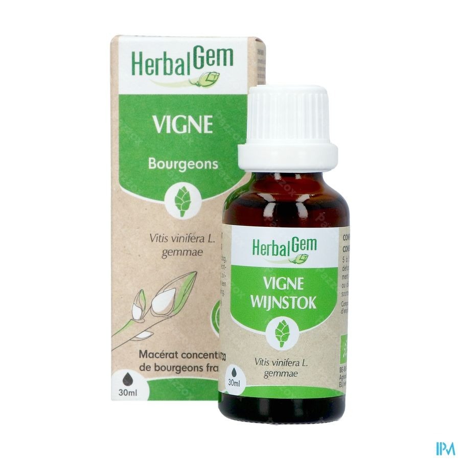 Herbalgem Wijnstok Maceraat Bio 30ml