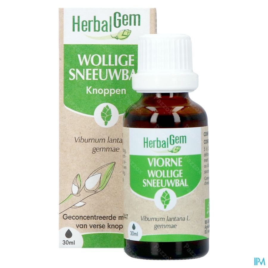 Herbalgem Sneeuwbal Bio 30ml