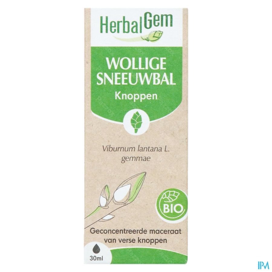 Herbalgem Sneeuwbal Bio 30ml