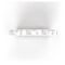 Arkoroyal Booster 10x10ml Ampullen